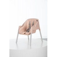 Стульчик для кормления Evenflo Trillo Rose